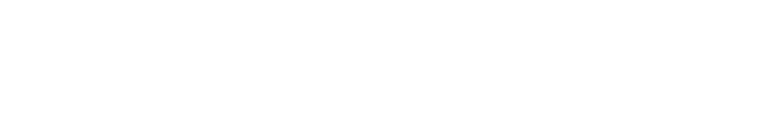 AKTURKS
